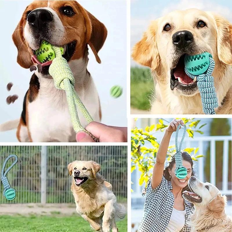 Load image into Gallery viewer, Chew Toys Puppy Training Pet Accessories - Furry Kidz Home
