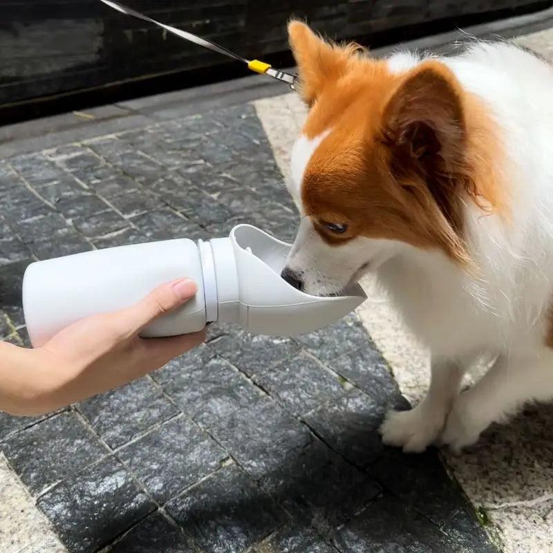 Load image into Gallery viewer, Collapsible High Volume Water Bottle Dogs Drinking Water Dispenser - Furry Kidz Home
