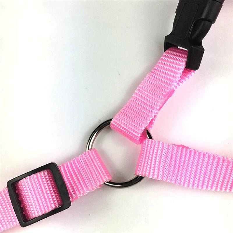 Load image into Gallery viewer, Nylon Safety Belt for Dogs - Furry Kidz Home
