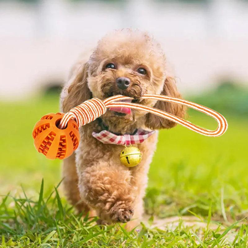 Load image into Gallery viewer, Chew Toys Puppy Training Pet Accessories - Furry Kidz Home
